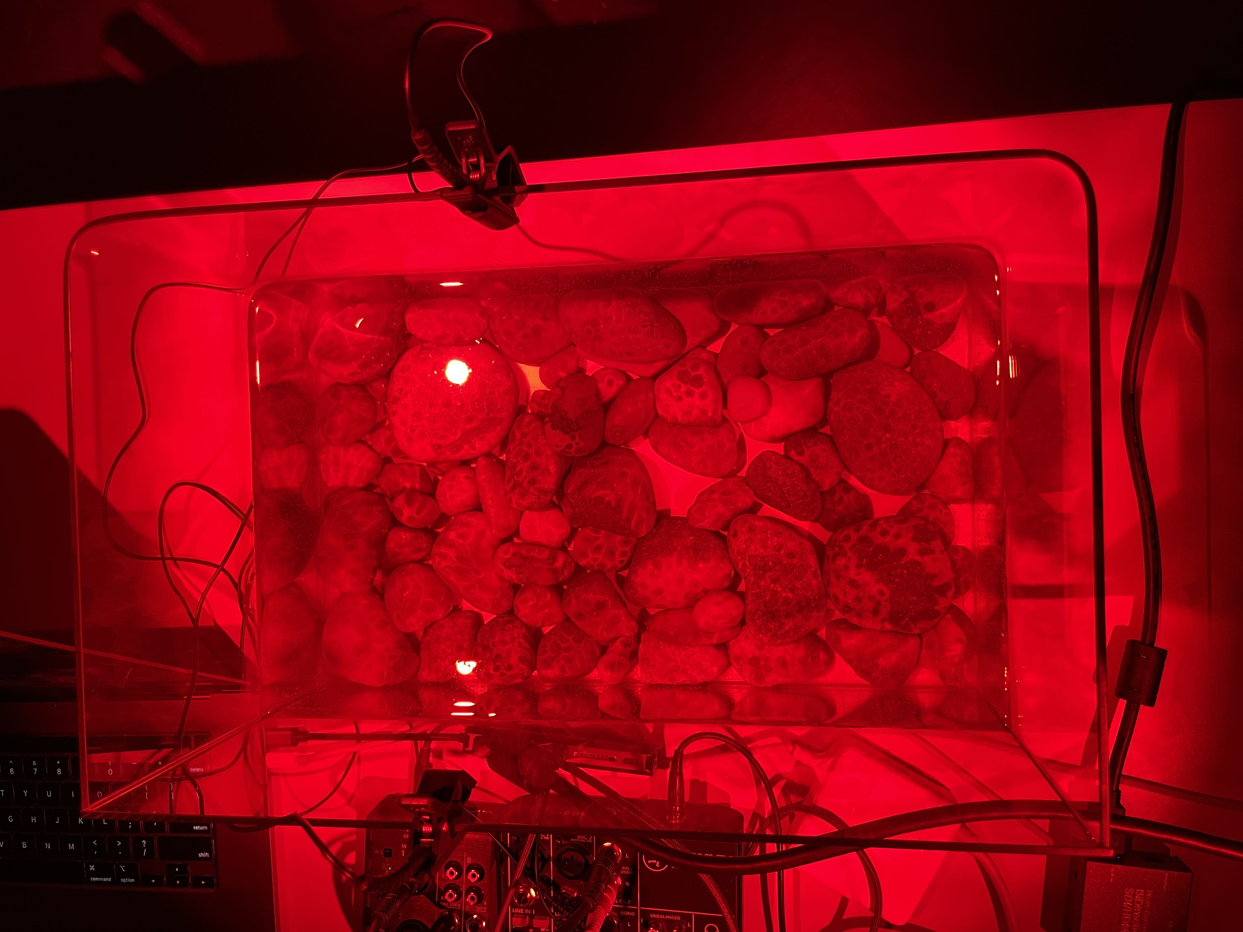 an aquarium full of Petoskey stones under red light